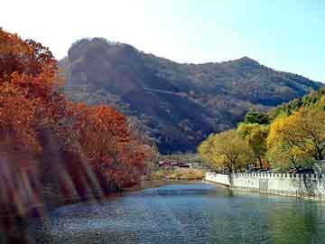 澳门一码一肖一待一中今晚，大家乐彩票机